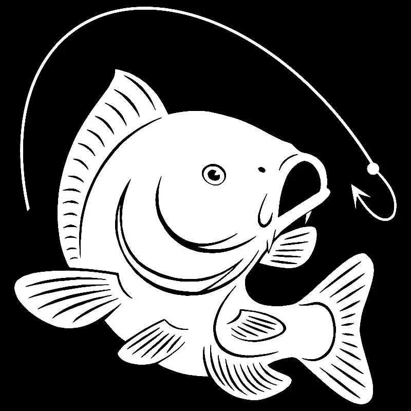 Carp Fishing Hook Decal Decora - Fishing Hook 리뷰 및 가격