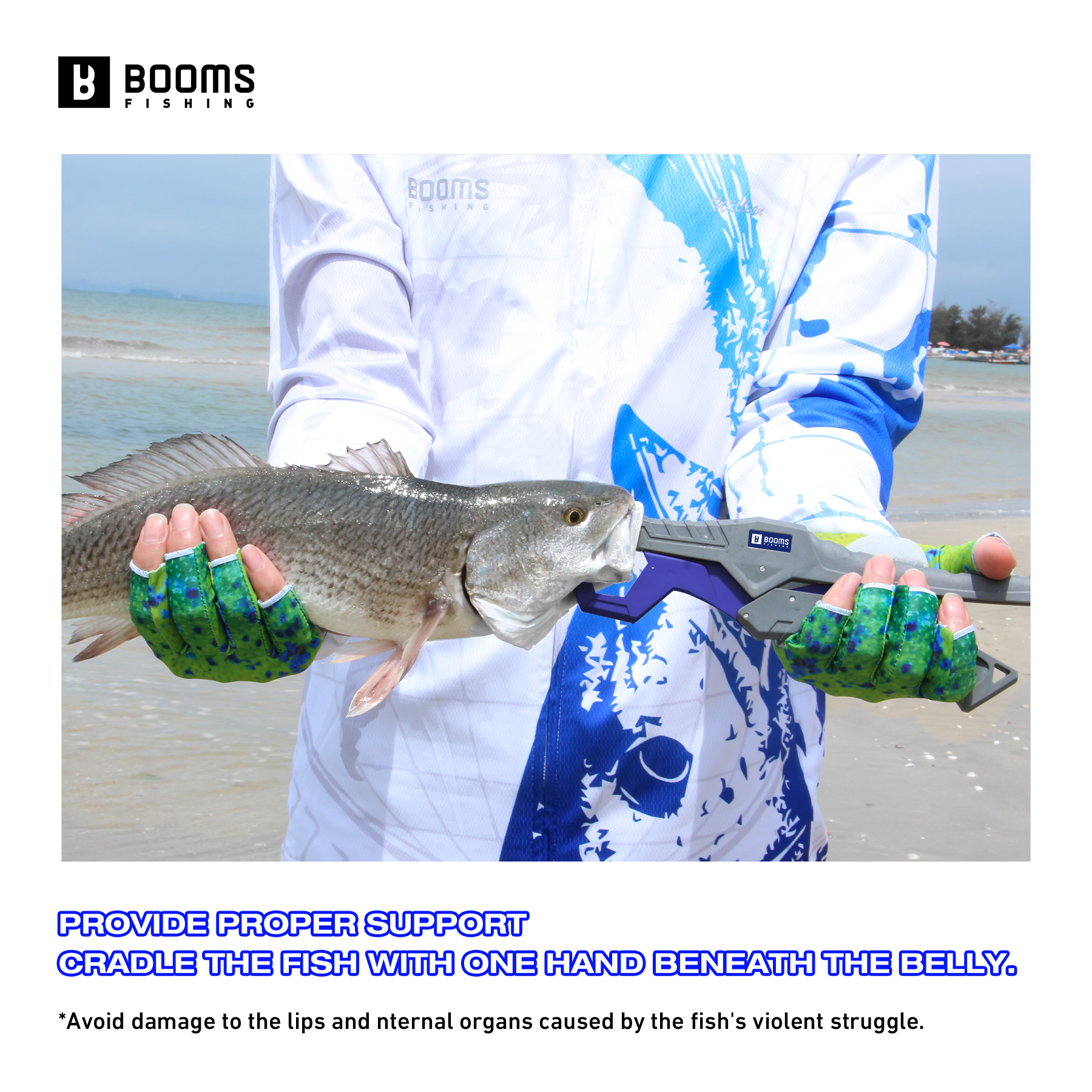 Booms Fishing 23cm Pliers and  - Fishing Hook Sharpener 리뷰 및 가격